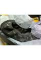 LES P'TITES BOMBES : ballerines modèle ELLA - collection automne/hiver 2014-2015