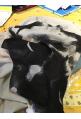 COP COPINE : foulard imprimé modèle COON - collection automne/hiver 2017-2018