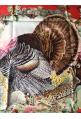 Foulard Hermès intitulé "FAUNE ET FLORE DU TEXAS" - EXTREMEMENT RARE ET RECHERCHE !